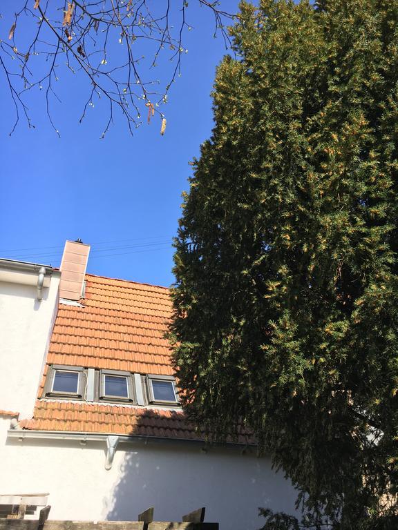 Pension Haus Baron 2 Friedrichsfeld Edingen-Neckarhausen Bagian luar foto